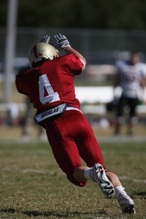 九游下载中心-CBA赛季转会期开放多支球队进行大规模阵容调整，cba转会动态2021